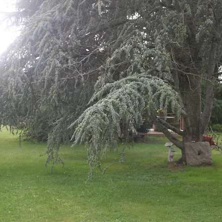 Les Sapins * Beaumesnil (Calvados)