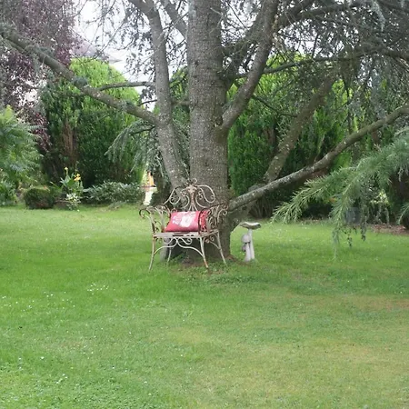 Les Sapins *