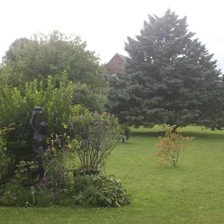 Les Sapins *