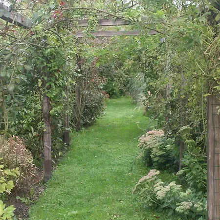 Apartment Les Sapins *