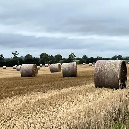 Les Sapins Apartment Beaumesnil (Calvados)