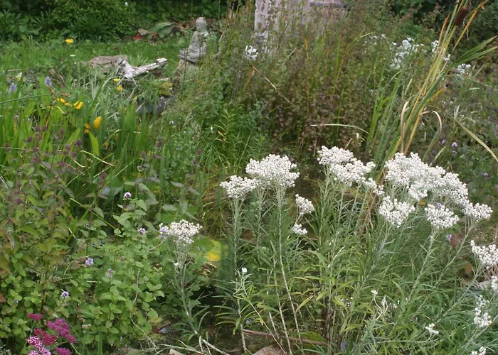 Les Sapins * Beaumesnil (Calvados)