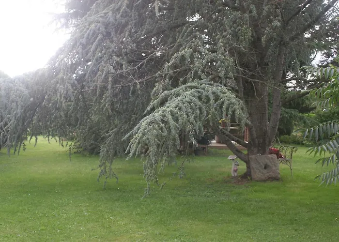 Les Sapins * Beaumesnil (Calvados)